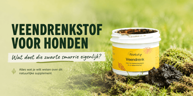 Veendrenkstof voor honden: wat het is, wat het doet en wanneer het zin heeft - Shop with Marley's