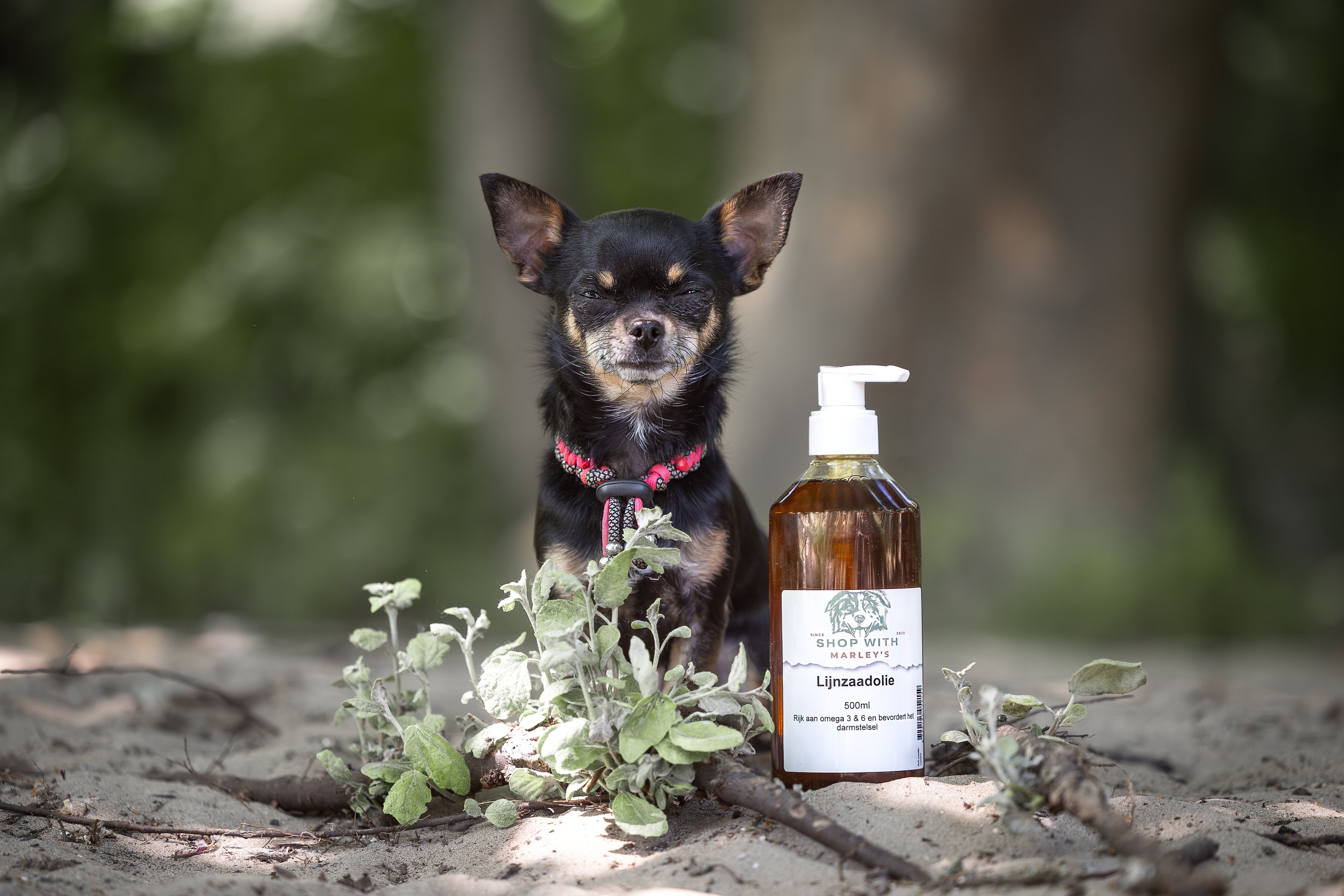 Superfood, supplementen & mealtoppers - Shop with Marley's