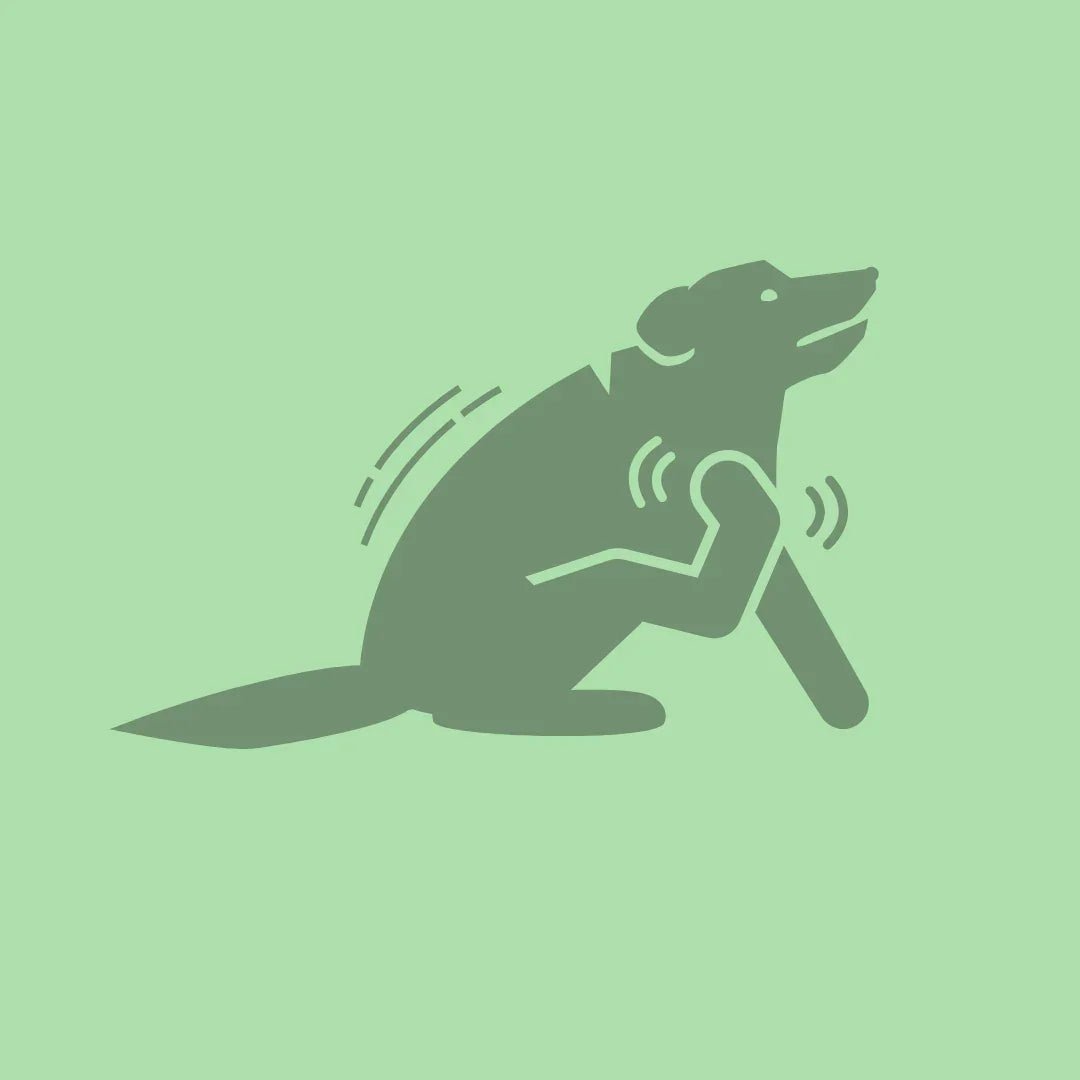 Anti-jeuk - Shop with Marley's