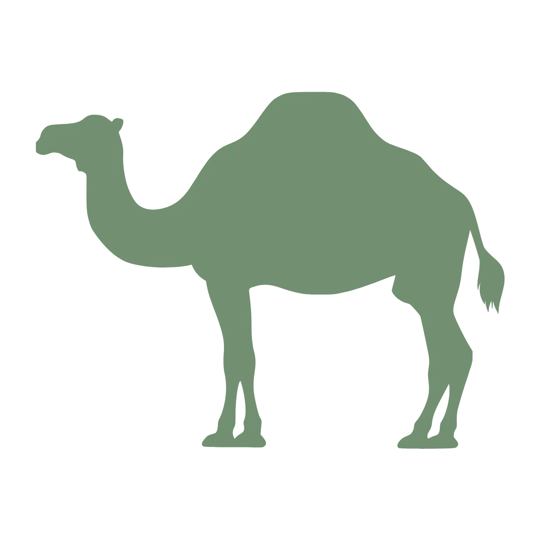 Kameel - Shop with Marley's