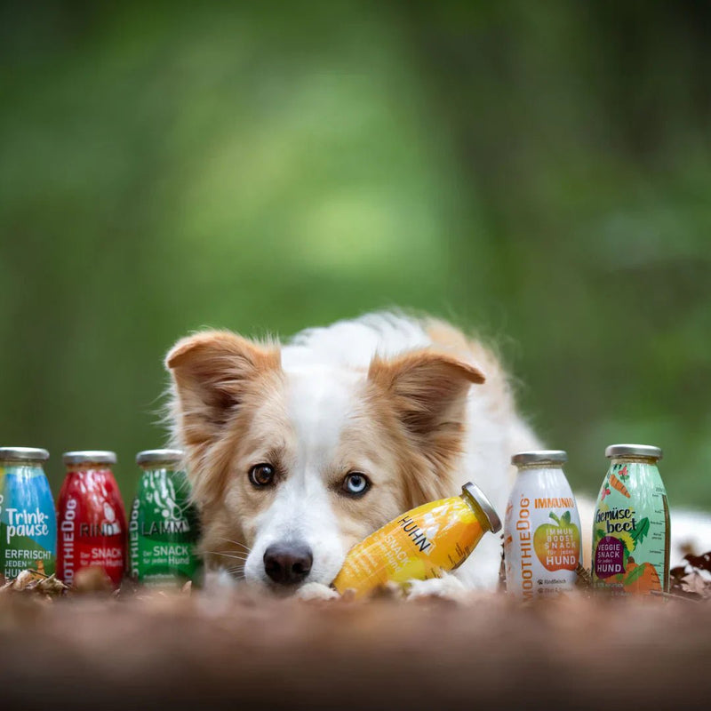 Kefir, smoothies, zuivel & ijsjes - Shop with Marley's