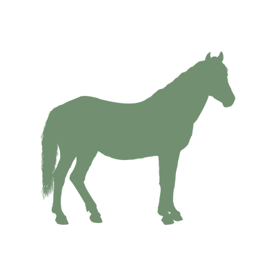 Paard - Shop with Marley's