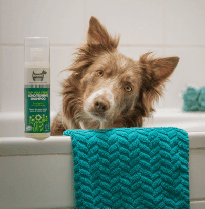 Shampoo & conditioner - Shop with Marley's
