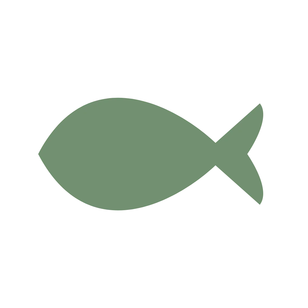 Vis