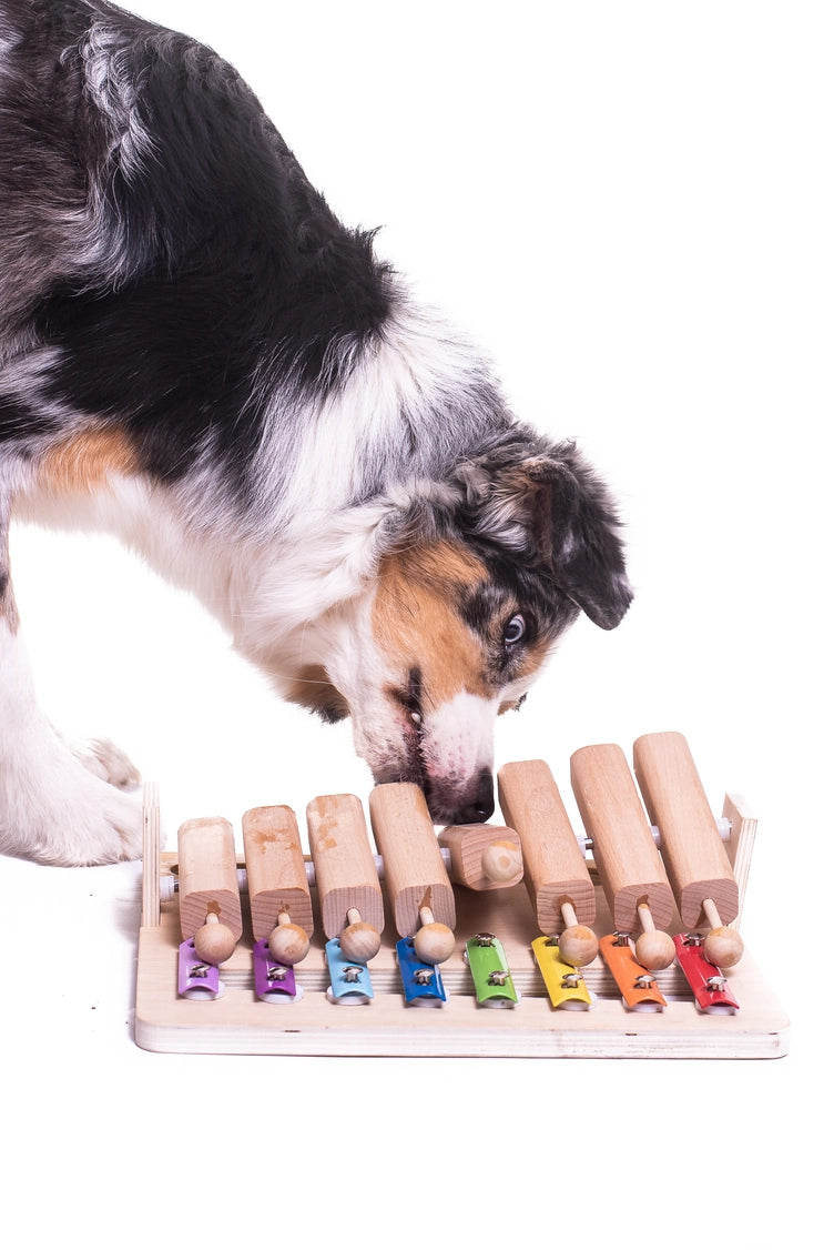 My Intelligent Pets Pet's Piano