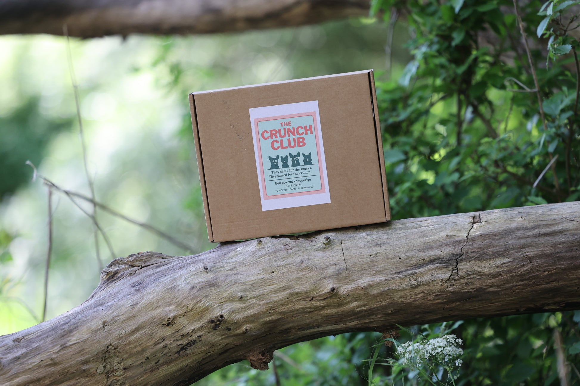 The Crunch Club – The Crunchy Trainer Snackbox!