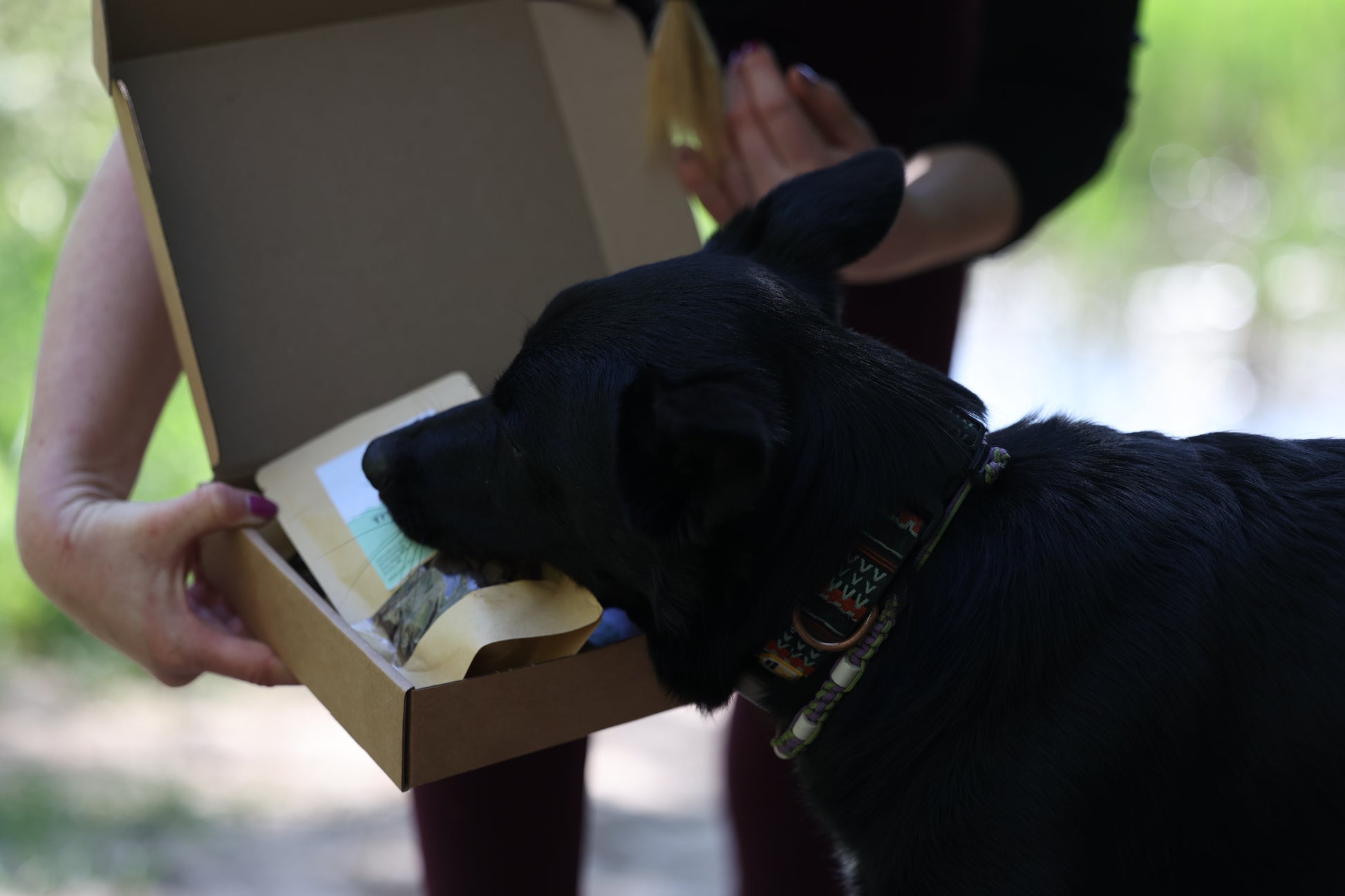 The Crunch Club – The Crunchy Trainer Snackbox!