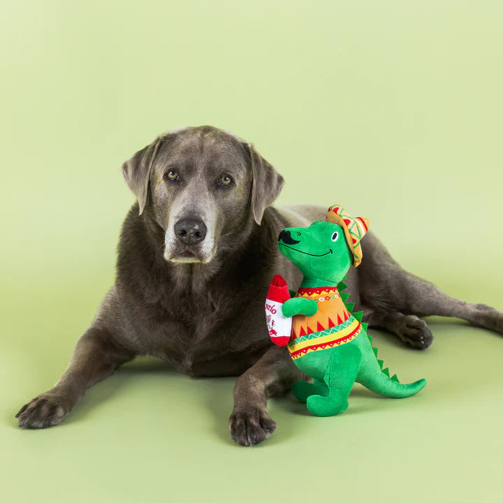 Fringe Rex Fiesta Saurus