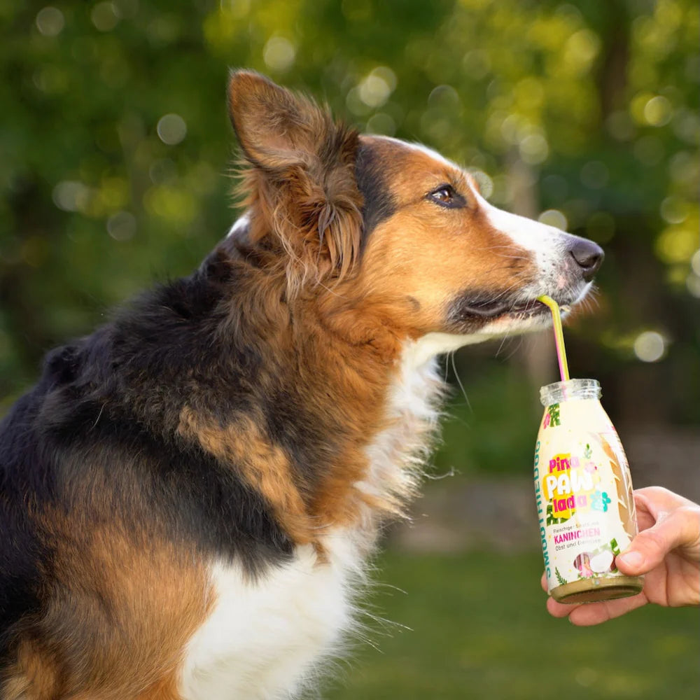 Smoothiedog Summer Editie - Konijn, fruit & kokos