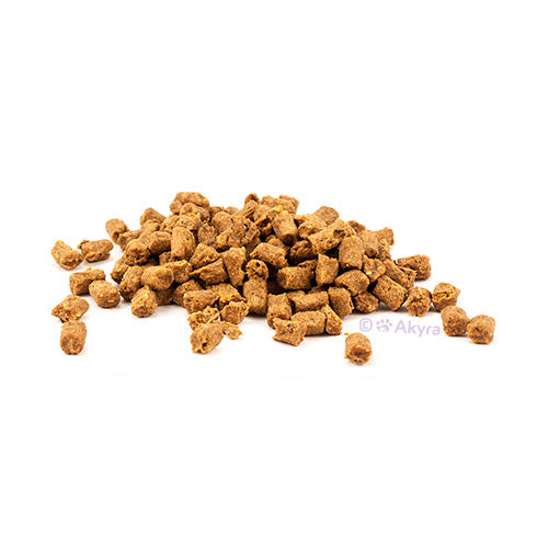 Akyra trainers Salmon (100gr)