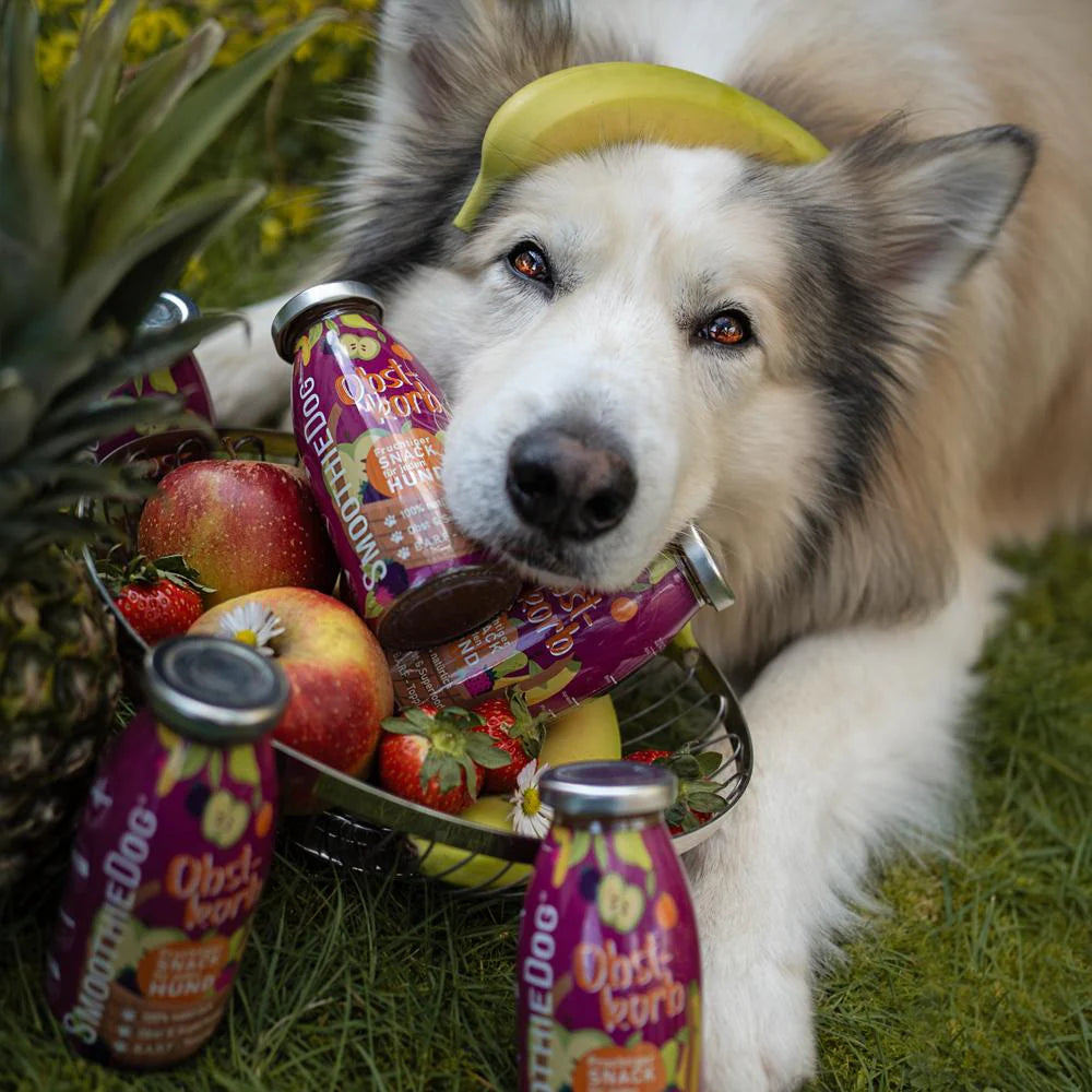 Smoothiedog Drink Break - Duck, Fruit &amp; Vegetables