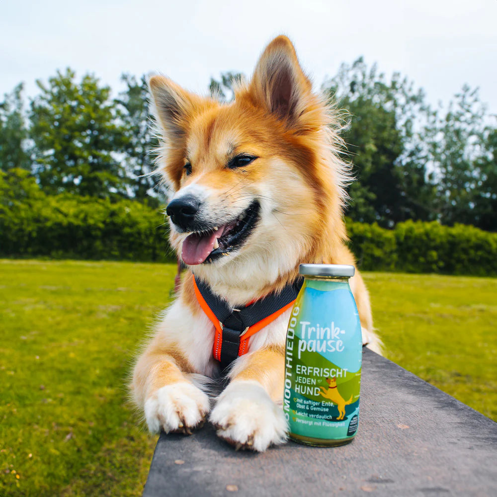 Smoothiedog Drinkpauze - Eend, fruit & groenten