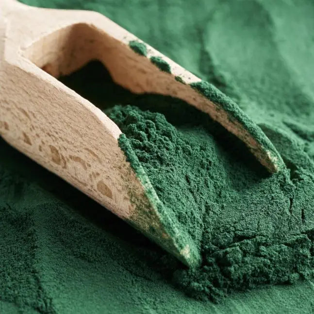 Cooka's Cookies Green Spirulina (30 gram) - Superalg, voor een boost voor de spijsvertering & immuunsysteem