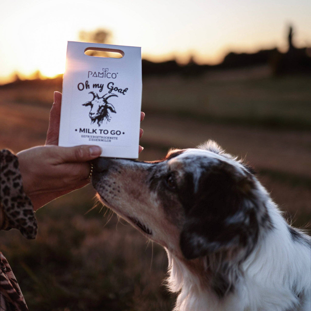 PAMICO Oh My Goat gevriesdroogde geitenmelk – aanvullende productfoto