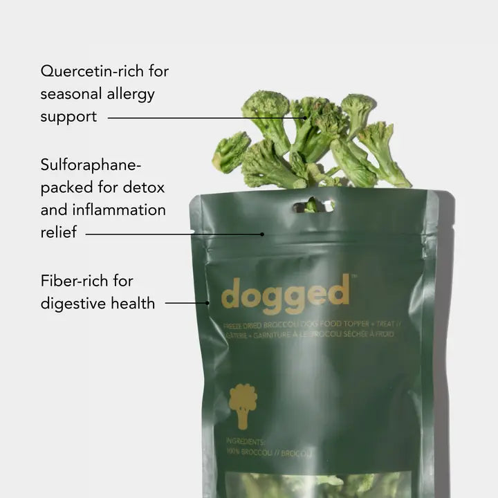 Dogged gevriesdroogde broccoli
