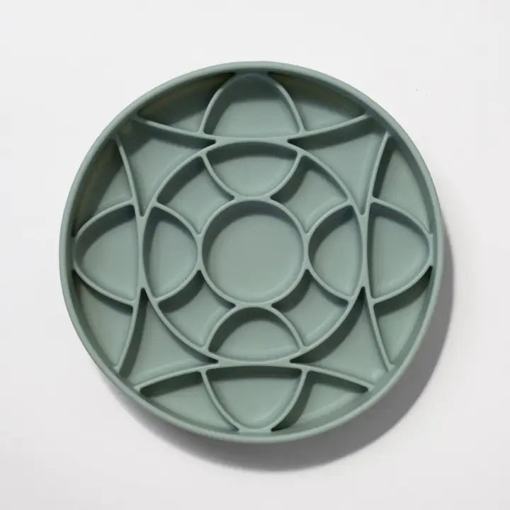 Dogged slow feeder bowl Circulo