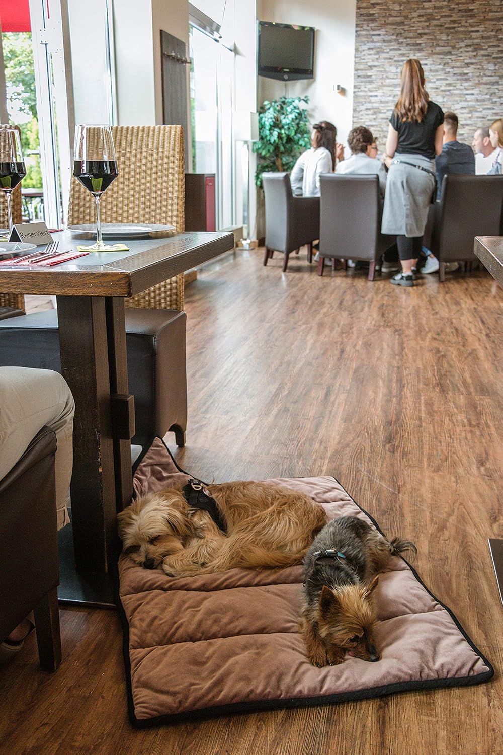 Trendpet Restaurantdeken 110x70cm