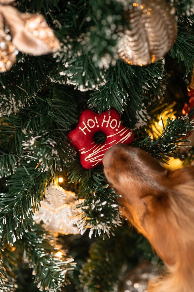 Hond krijgt een rode stervormige Woofmas Donut bij de kerstboom