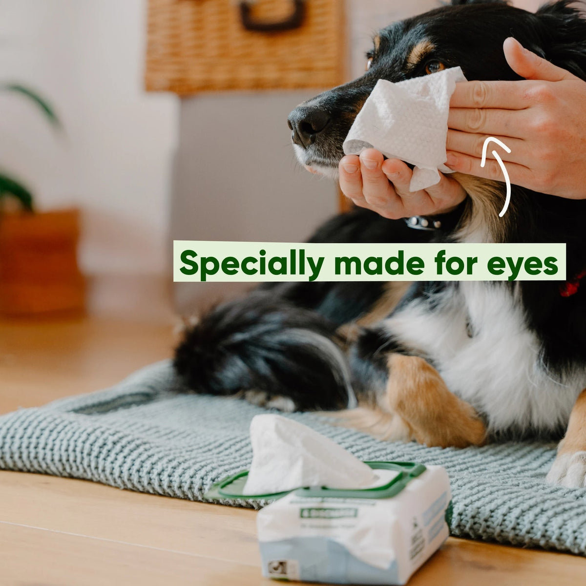 Beco Eye cleaning wipes - speciaal ontworpen voor schoonmaken traanstrepen en oogvuil honden - 70 doekjes