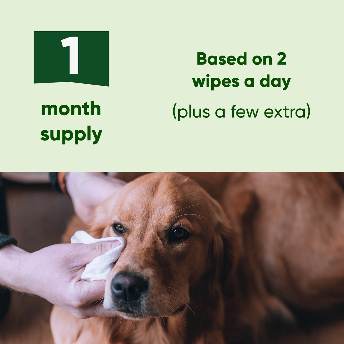 Beco Eye cleaning wipes - speciaal ontworpen voor schoonmaken traanstrepen en oogvuil honden - 70 doekjes