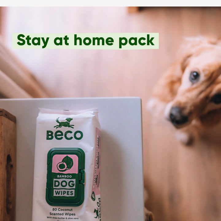 Beco dog wipes - voor modderige pootjes, buikjes en billen - met kokosgeur - 80 doekjes