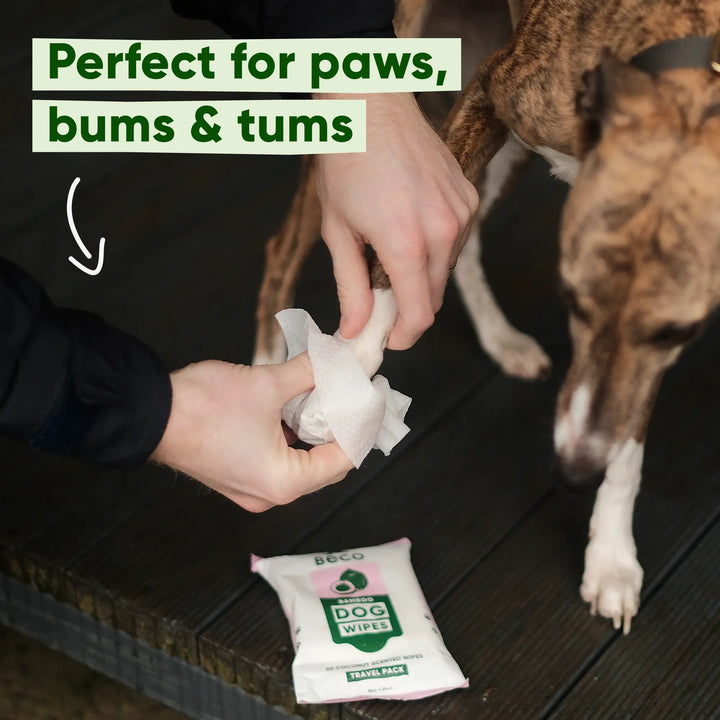Beco Travelsize dog wipes - voor modderige pootjes, buikjes en billen onderweg  - met kokosgeur - 20 doekjes