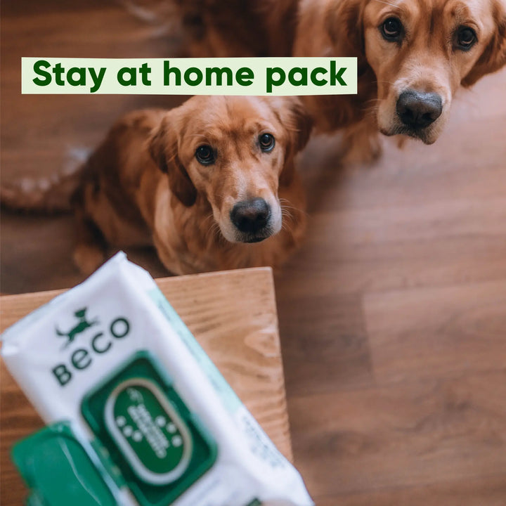 Beco dog wipes - voor modderige pootjes, buikjes en billen - geurloos - 80 doekjes