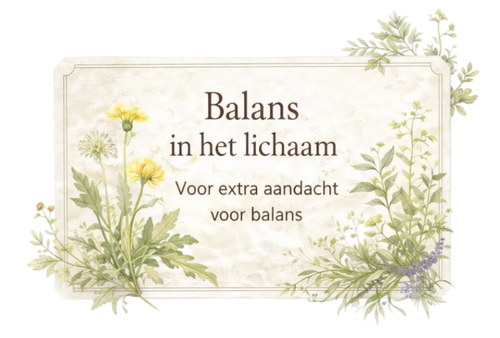 Balans in het lichaam botanische toppers hond subcategorie | Shop with Marley's