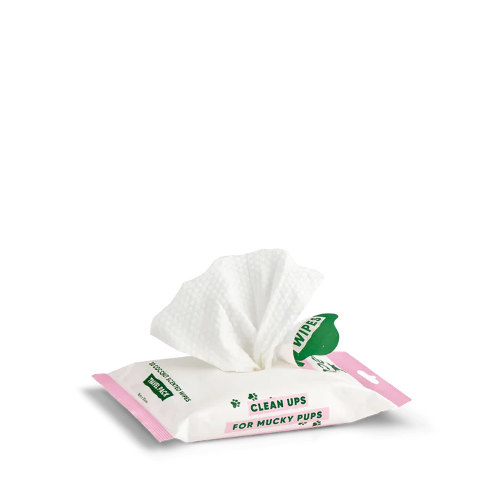 Beco Travelsize dog wipes - voor modderige pootjes, buikjes en billen onderweg  - met kokosgeur - 20 doekjes