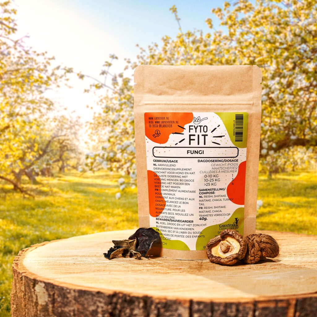 Fyto-Fit Fungi, natuurlijk paddenstoelensupplement voor honden, 40 gram