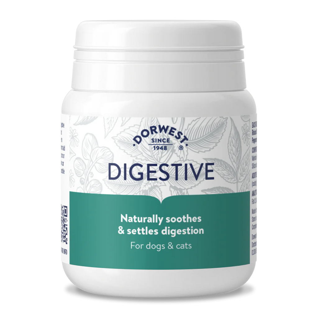 Dorwest Digestive tablets - bevordering van de spijsvertering & tegen wagenziekte - 100 stuks