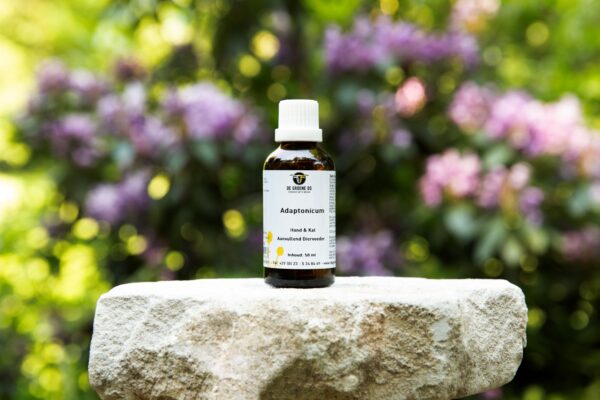 De Groene Os Adaptonicum met ashwagandha voor honden 50 ml