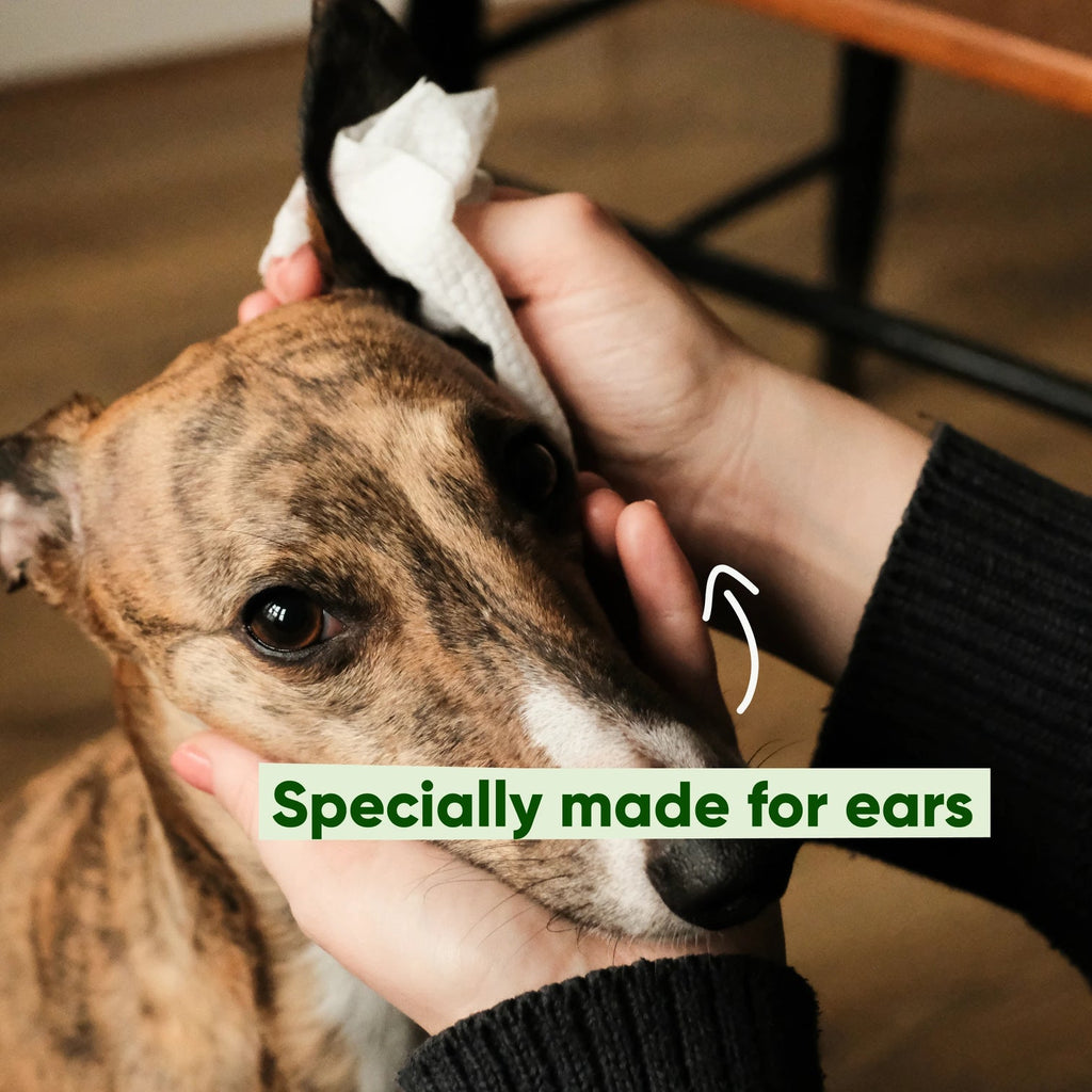 Beco Ear Cleaner cleaning wipes - speciaal ontworpen voor schoonmaken oren honden   - 70 doekjes