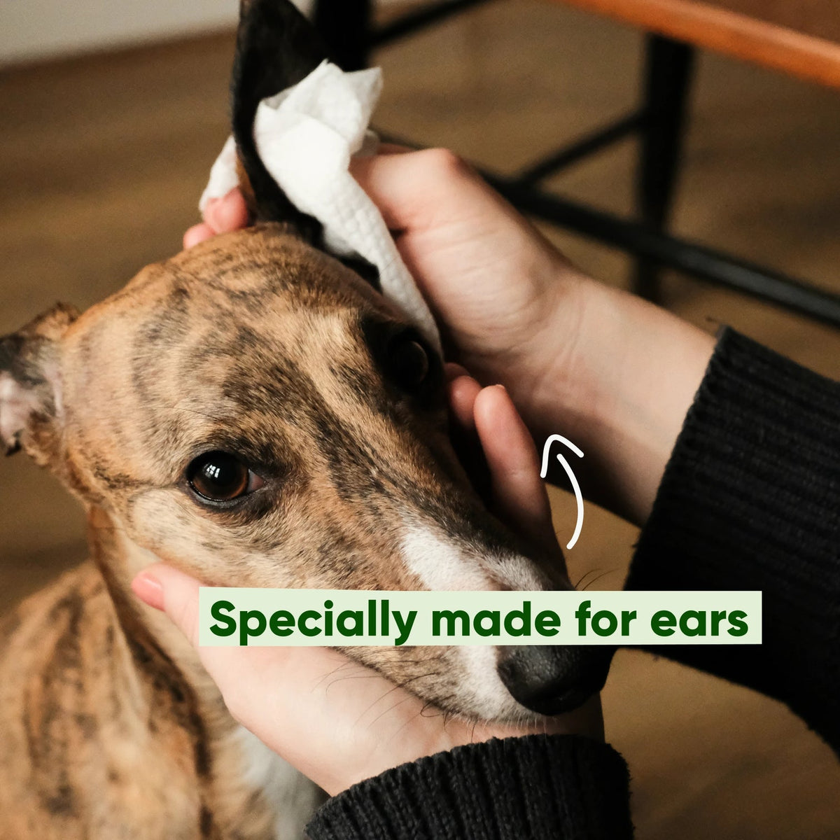 Beco Ear Cleaner cleaning wipes - speciaal ontworpen voor schoonmaken oren honden   - 70 doekjes