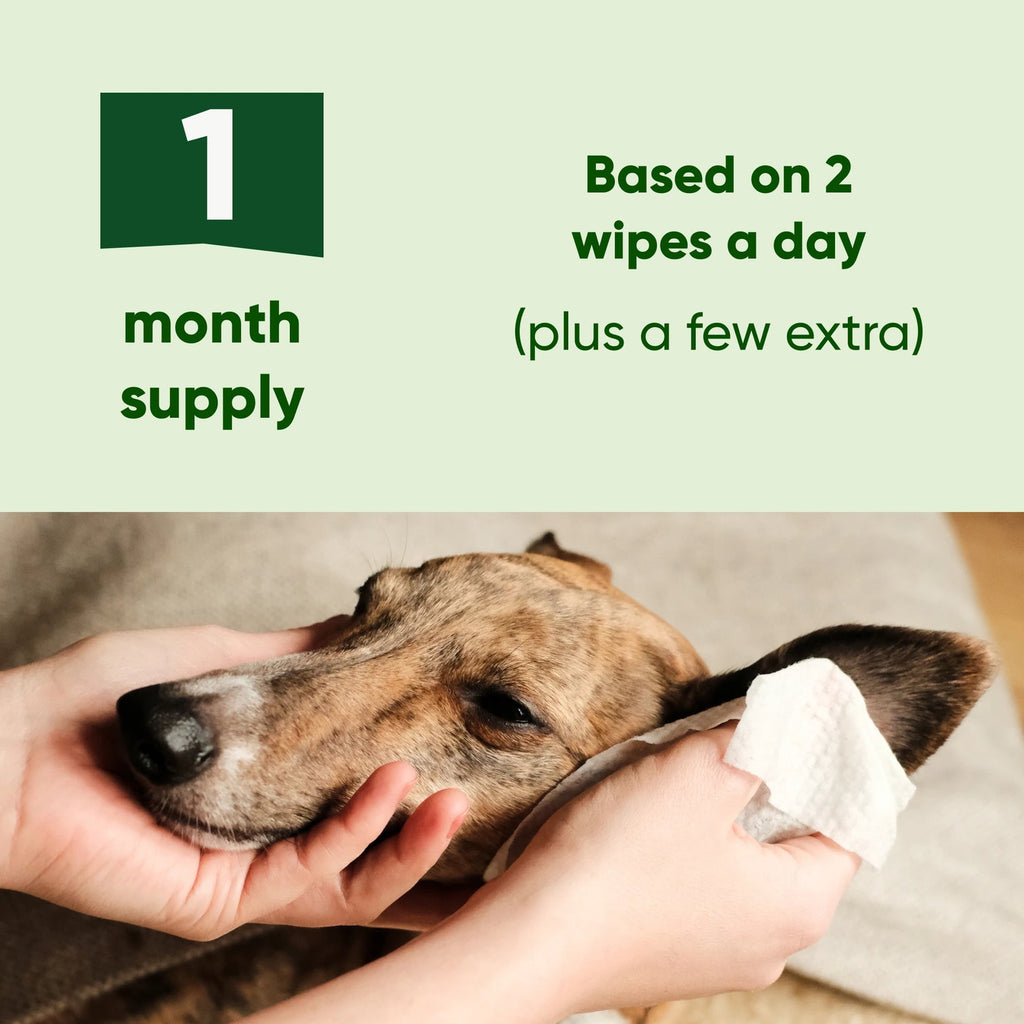 Beco Ear Cleaner cleaning wipes - speciaal ontworpen voor schoonmaken oren honden   - 70 doekjes