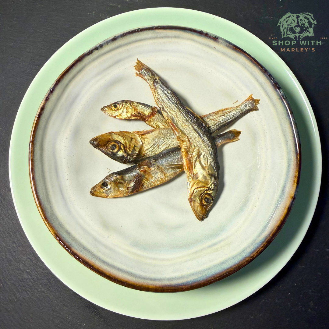 gedroogde haring voor honden natuurlijke vissnack omega 3 snack hond haring topper hond voer