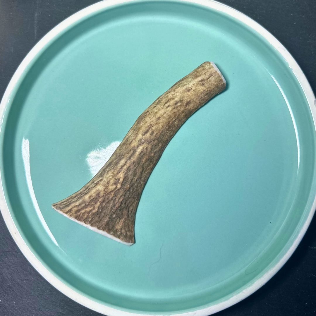 Shop with Marley's Deer Antler Sawn