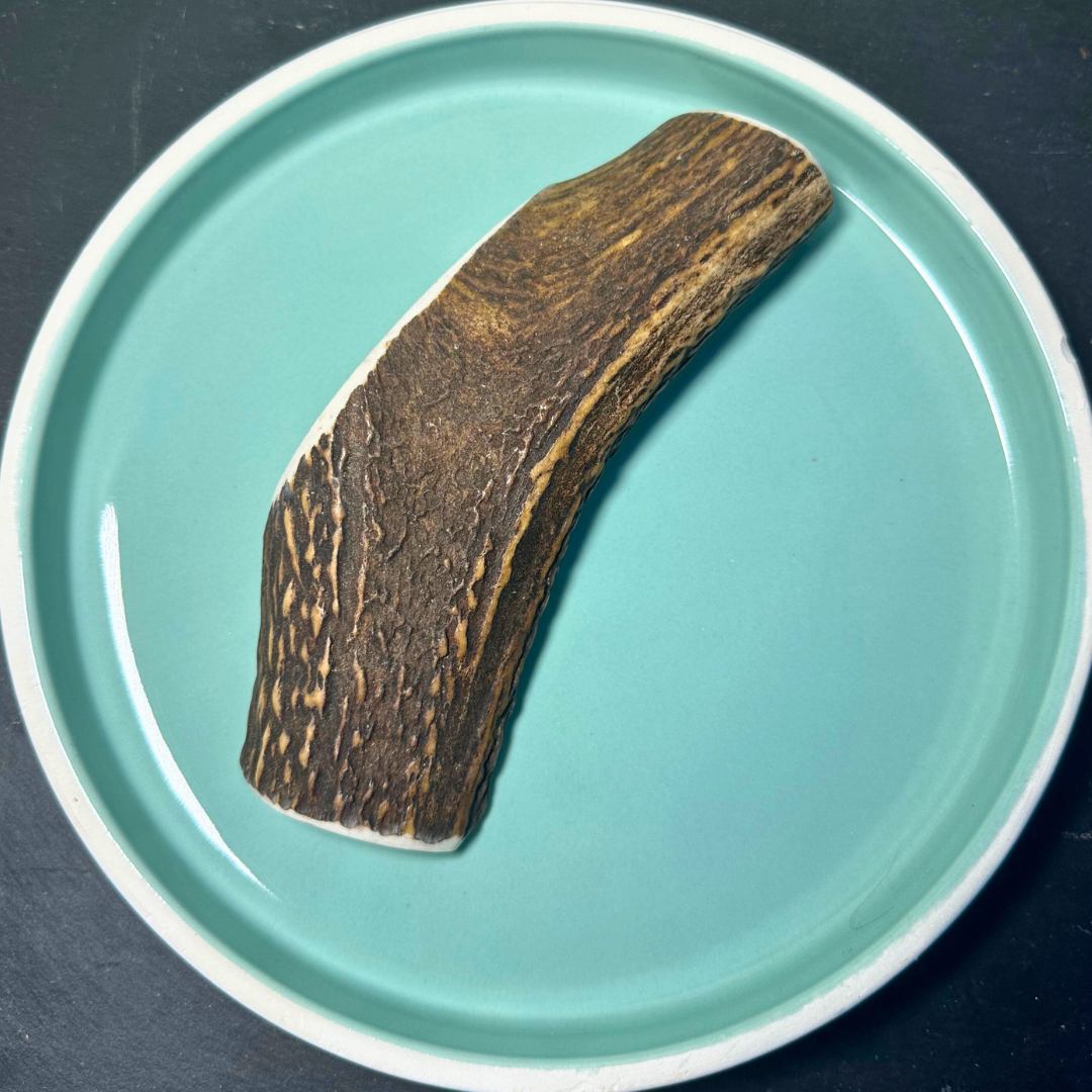 Shop with Marley's Deer Antler Sawn