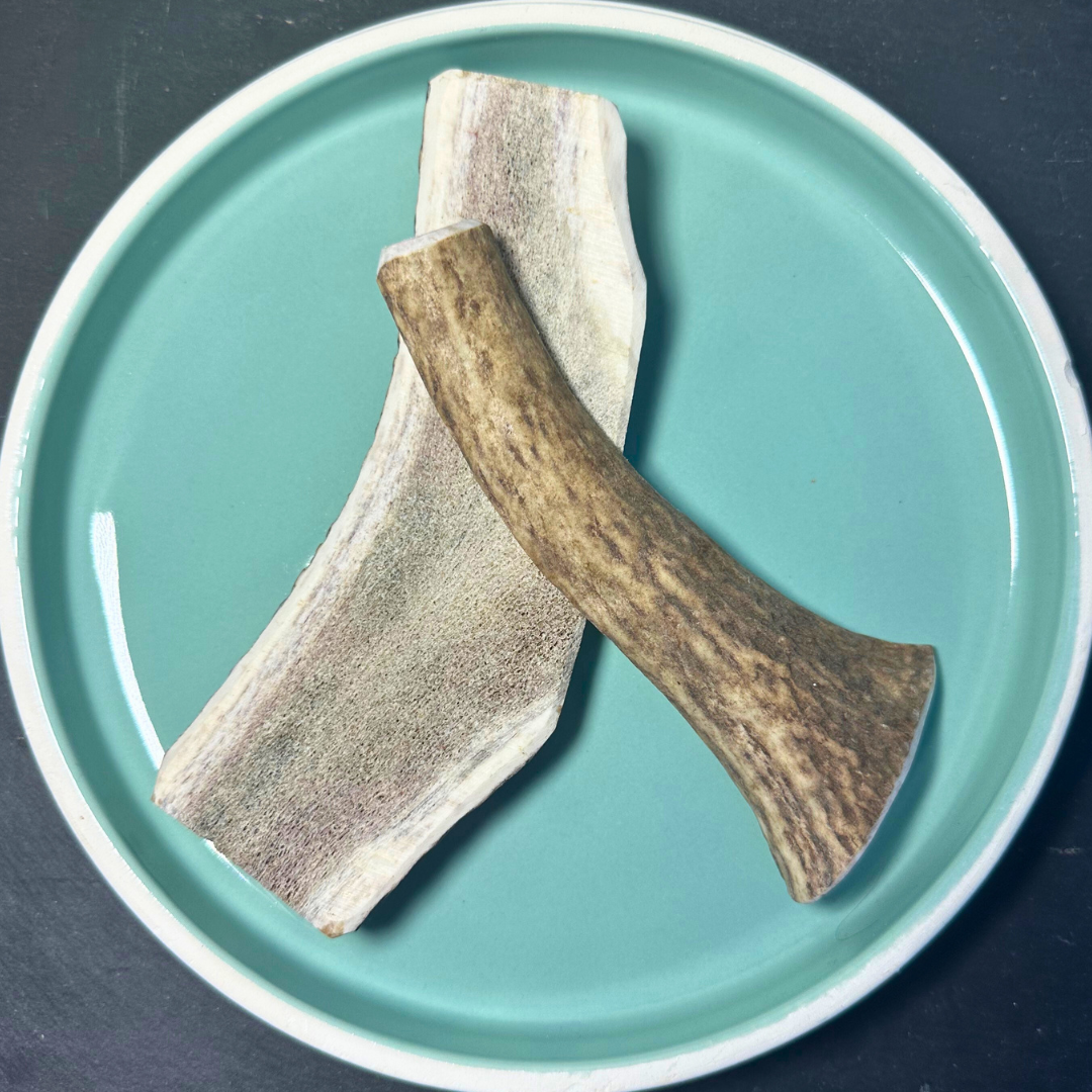 Shop with Marley's Deer Antler Sawn
