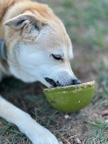 Sodapup Garden of Eating Tipsy Bowl Green