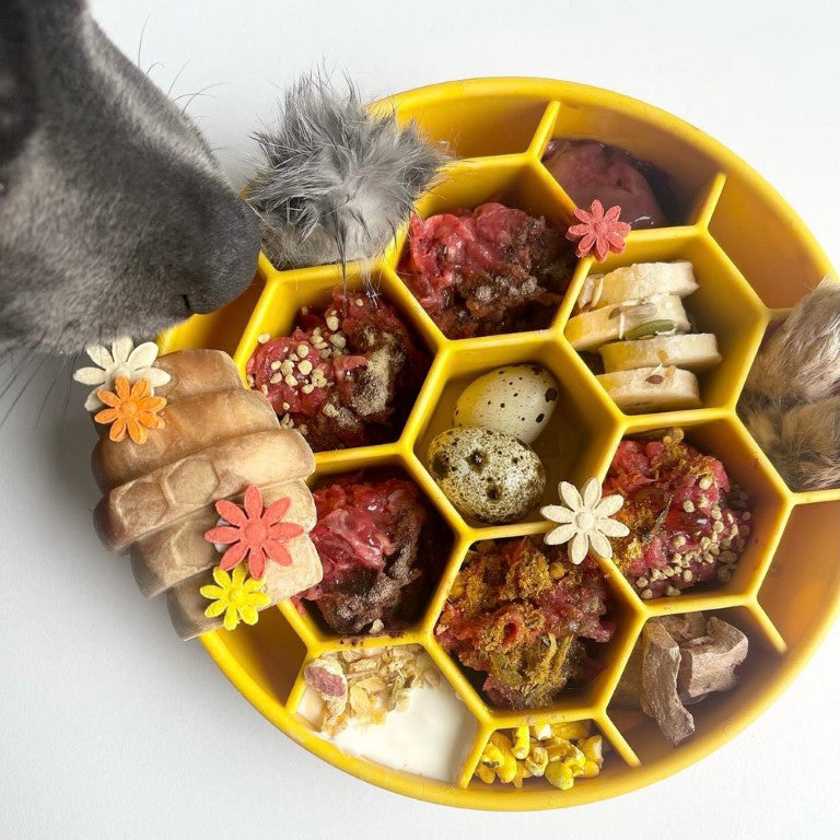 Sodapup Slowfeeder Honeycomb