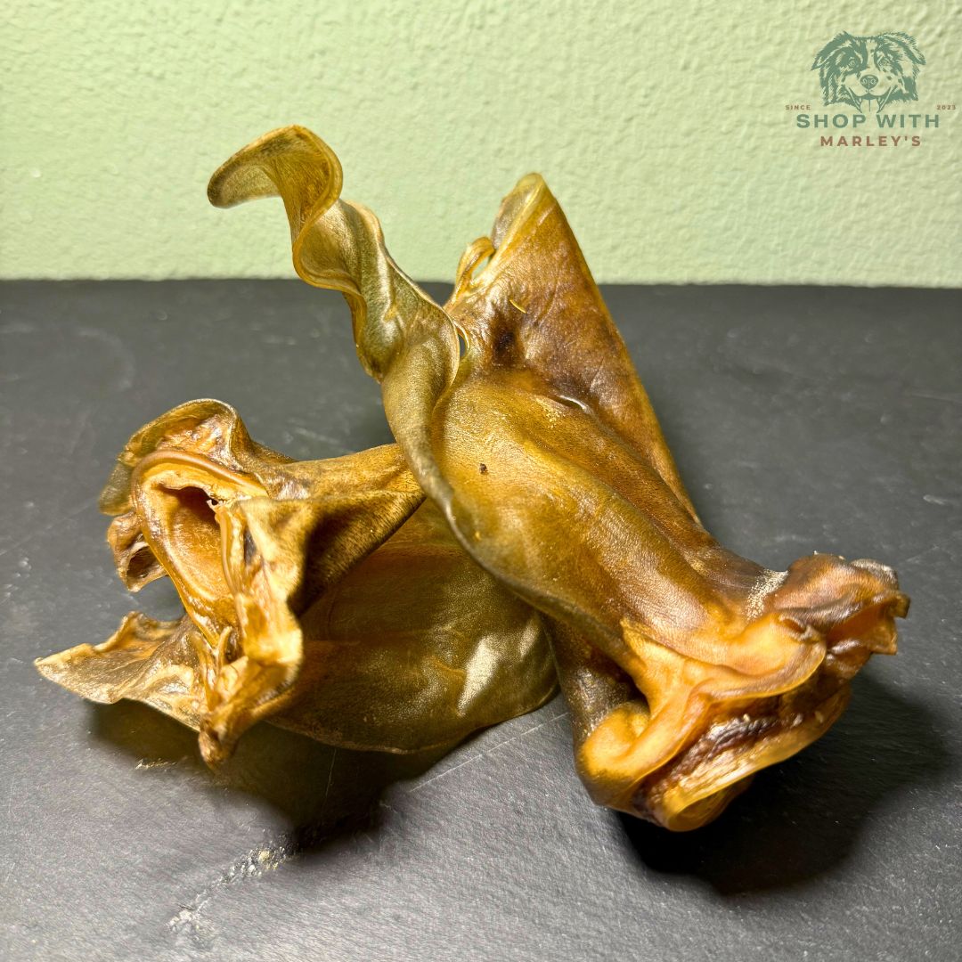 Lamsoren_Maxi_Shop_with_Marleys