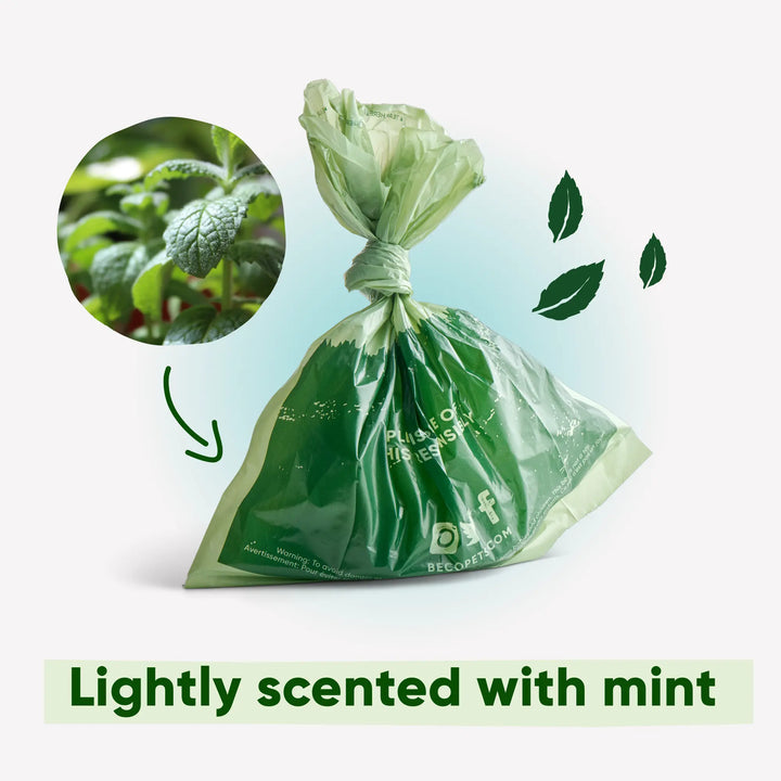 Beco 100% gerecyclede honden poepzakjes - met mintgeur