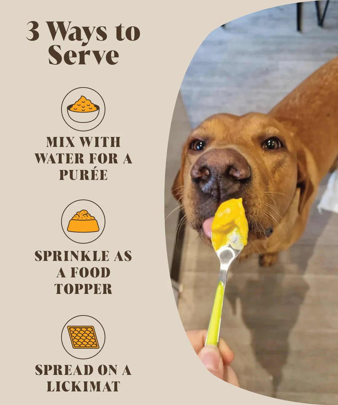 Hackney Dog House Pumpkin & Probiotics