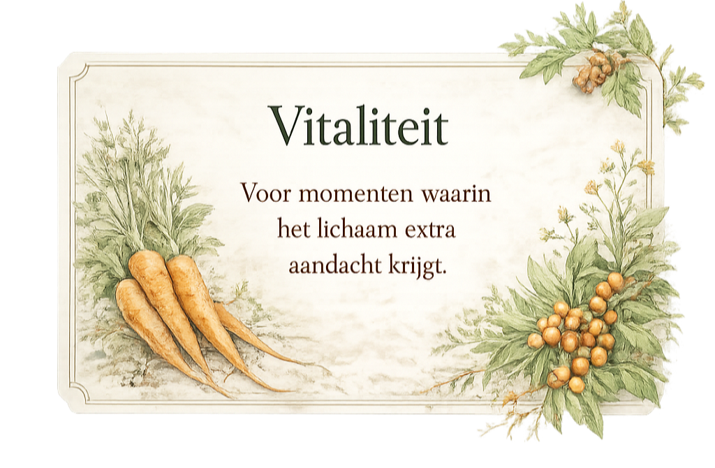 Vitaliteit botanische toppers subcategorie | Shop with Marley's