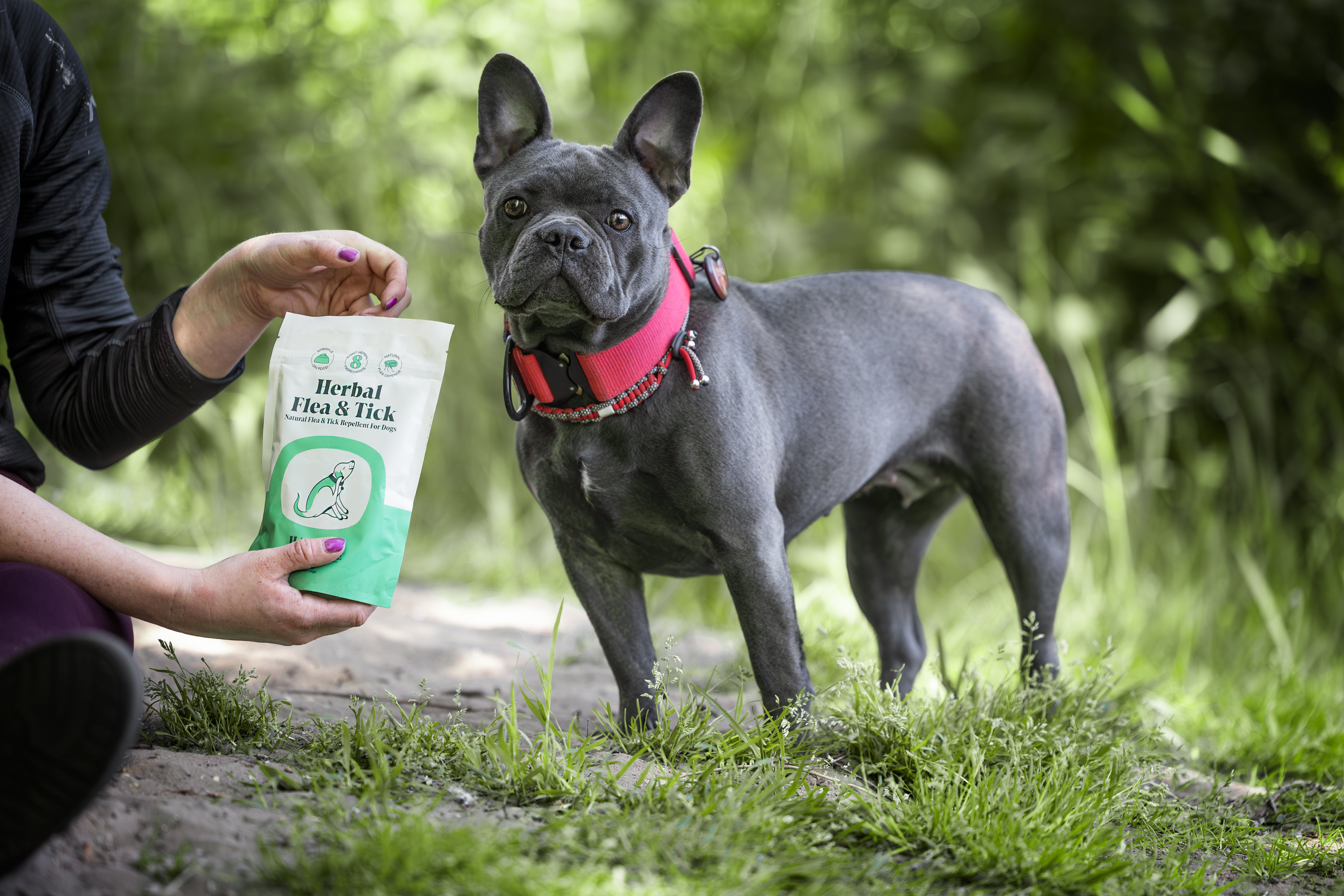 ylva met herbal flea & tick van hackney dog house
