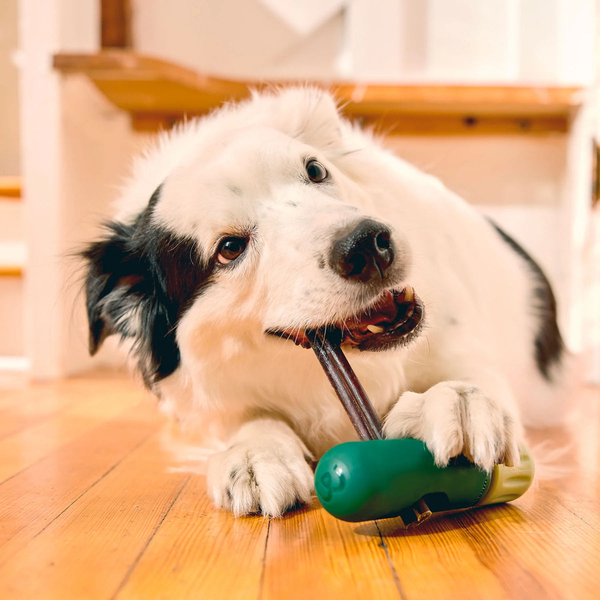 Woof - BullySafe - houder voor kauwsnacks