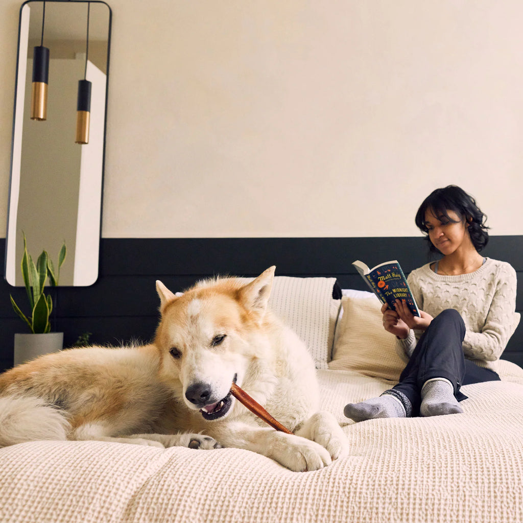 Woof - BullySafe - houder voor kauwsnacks