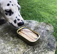Canumi Proefpakket – Ontdek de Zee - 6x natuurlijke vis voor honden - Shop with Marley's