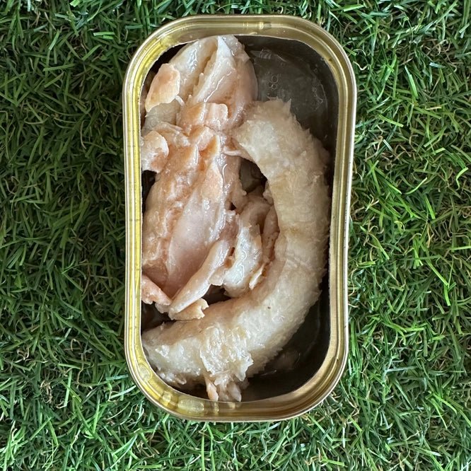 anumi zalmfilet voor honden 120g — 100% Noorse zalm op waterbasis